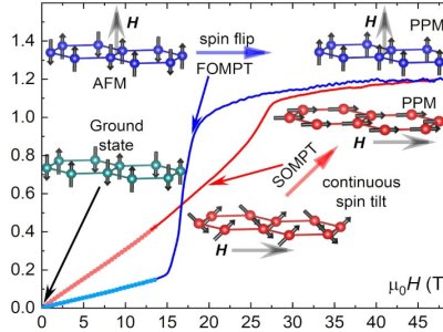 PRB Editors' suggestion for Student Paper on van der Waals magnetism