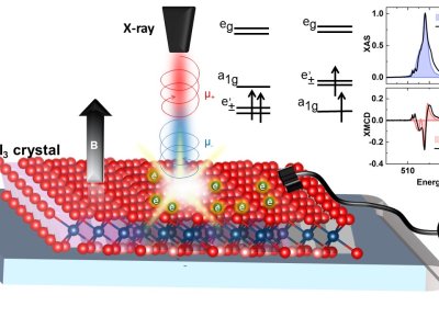 Sizable orbital moment revealed in 2D magnets