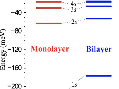 Exciting bilayers of MoSe<sub>2